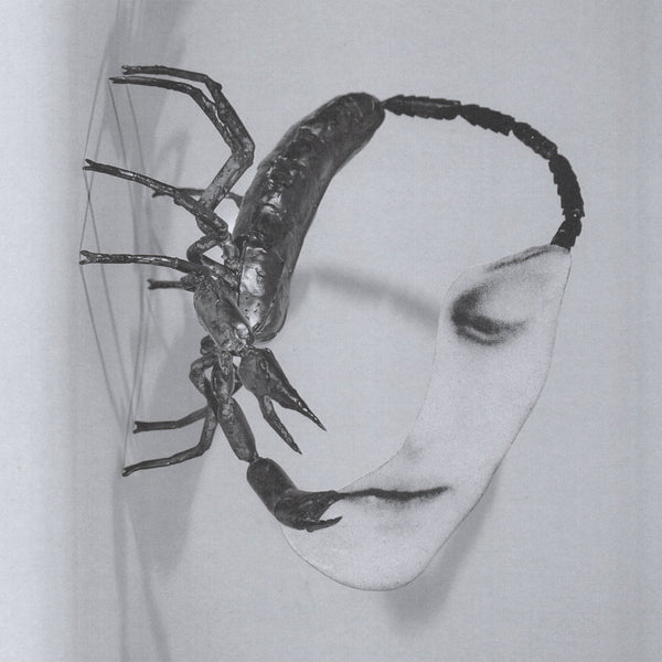 Tortoise :: Touch LP
