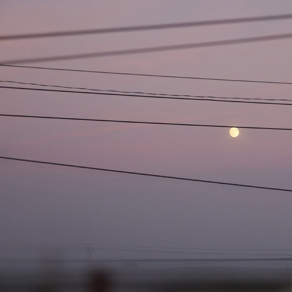 Michael Scott Dawson :: Long Slow Distance LP