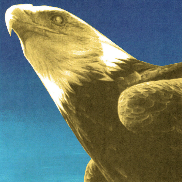 Protomartyr :: Hotel Usona LP