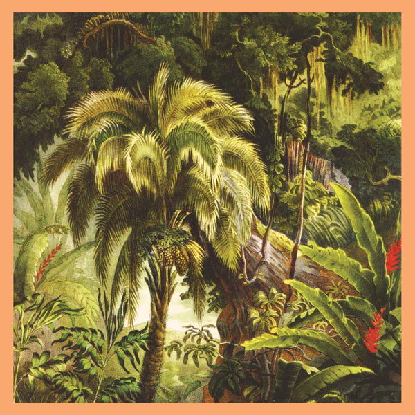 Xiu Xiu :: La Foret LP