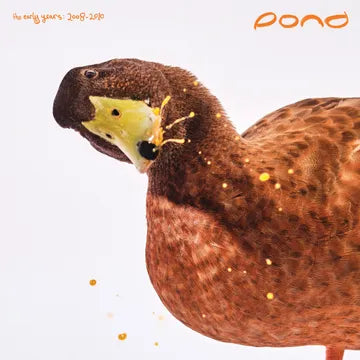 Pond :: The Early Years: 2008-2010 LP