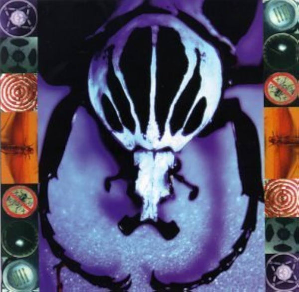 Age Of Electric :: Make A Pest A Pet LP