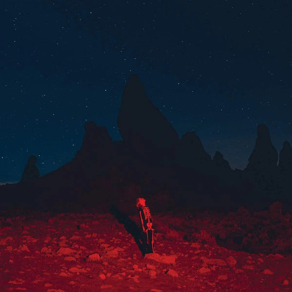 Phoebe Bridgers :: Punisher LP