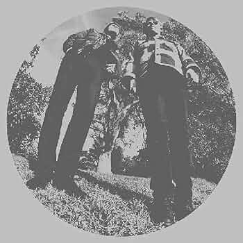Segall, Ty & White Fence :: Hair LP