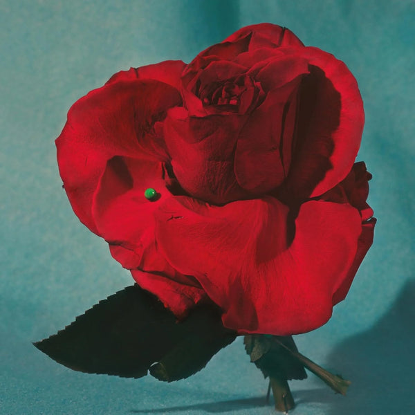 METZ :: Up On Gravity Hill LP