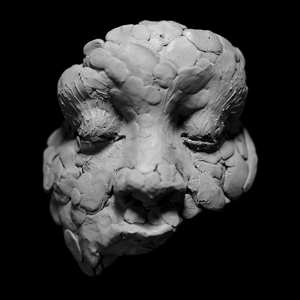 Oladokun, Joy :: Observations From a Crowded Room LP