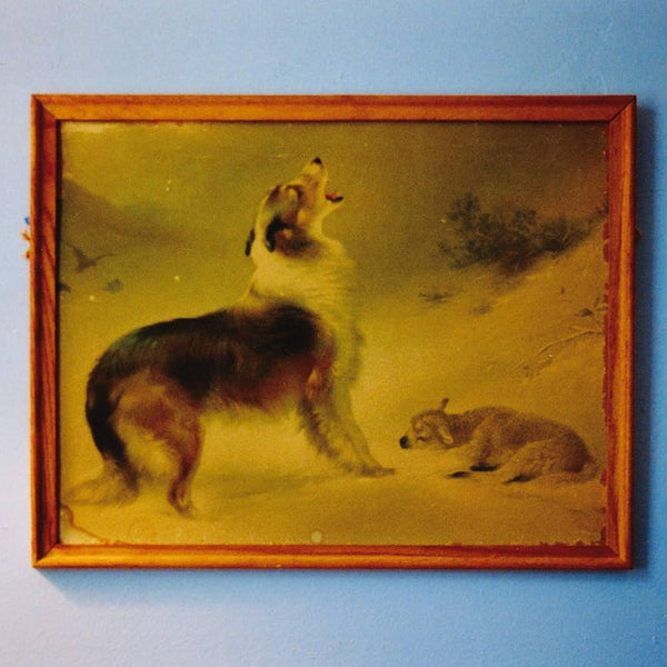 Explosions In the Sky :: The Rescue LP