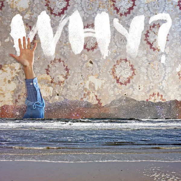 Why? :: AOKOHIO LP