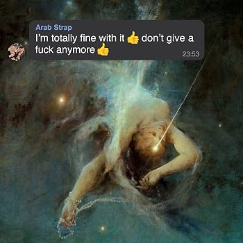 Arab Strap :: I'm Totally Fine With It Don't Give A Fuck Anymore LP