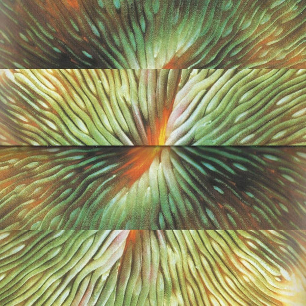 Active Surplus :: Mirroring LP