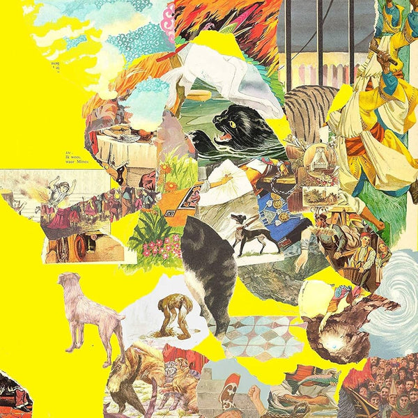 Homesick :: The Big Exercise LP