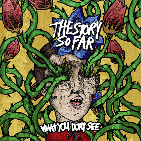 Story So Far :: What You Don't See LP