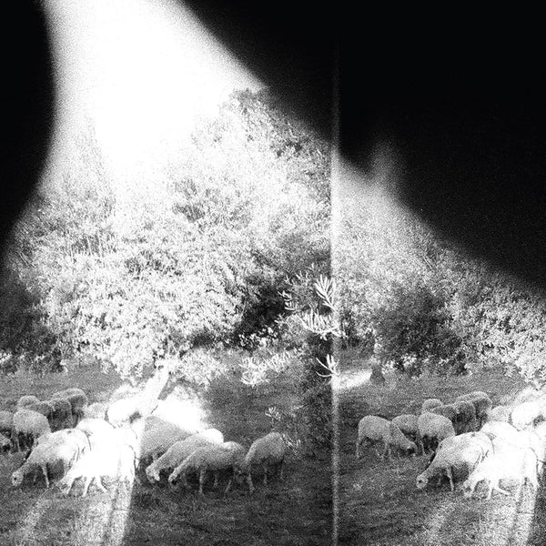 Godspeed You! Black Emperor :: Asunder, Sweet And Other Distress LP