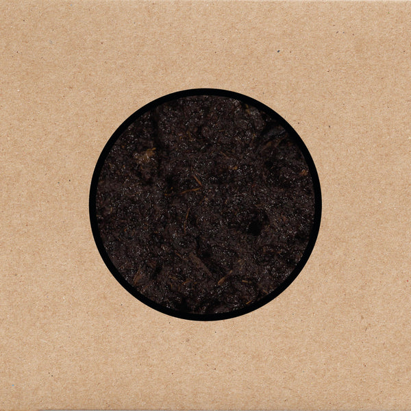 Swans :: Birthing LP