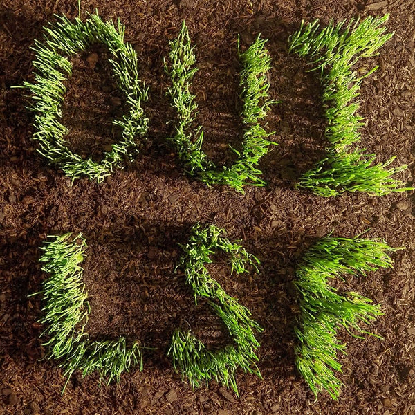 Les Savy Fav :: Oui, Laf LP