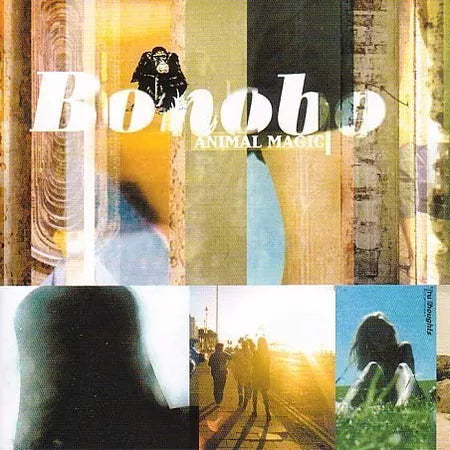 Bonobo :: Animal Magic LP
