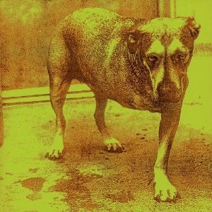 Alice In Chains :: Alice In Chains LP