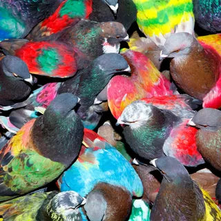 Blawan :: SickElixir LP