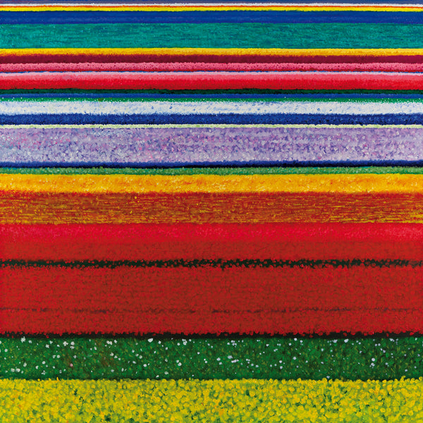 City And Colour :: Little Hell LP