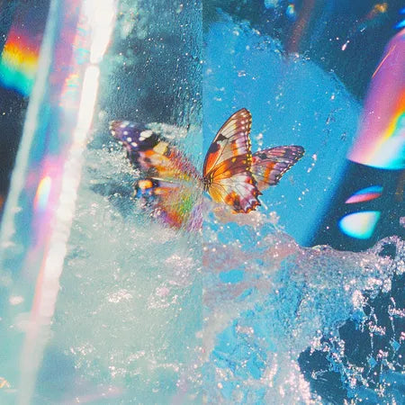 Daphni :: Butterfly LP