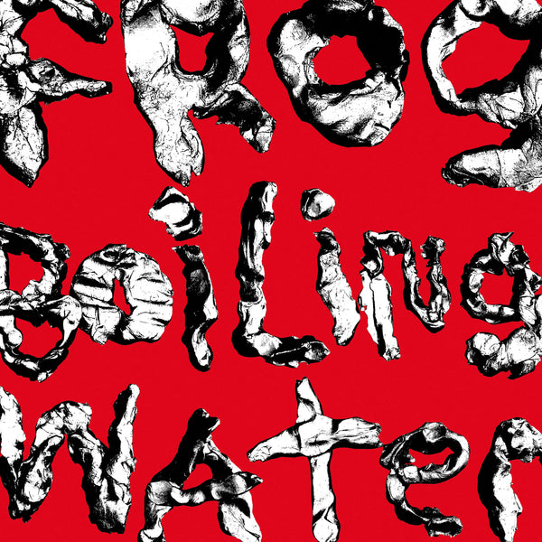 DIIV :: Frog In Boiling Water LP