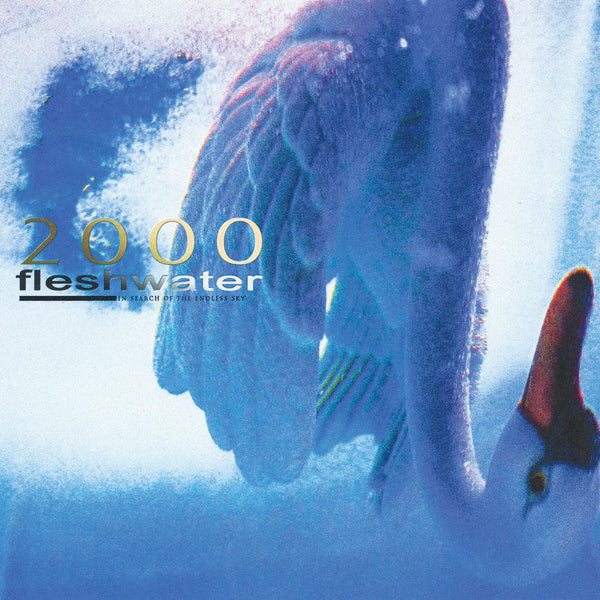 Fleshwater :: 2000: In Search Of The Endless Sky LP