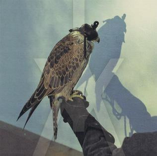 Iceage :: You're Nothing LP