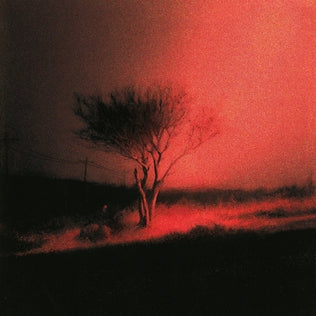 Joji :: Piss In The Wind LP