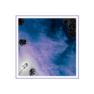 Look Outside Your Window :: Look Outside Your Window LP