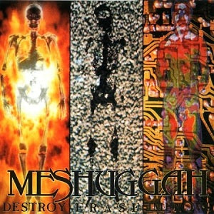 Meshuggah :: Destroy Erase Improve LP