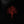 Load image into Gallery viewer, Moneen :: The Red Tree LP
