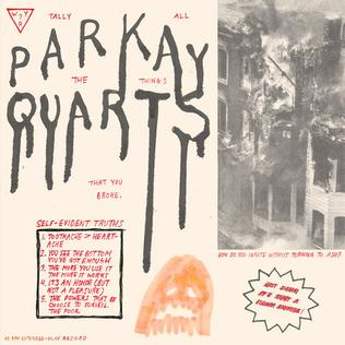 Parquet Courts ::  Tally Up All The Things You Broke LP