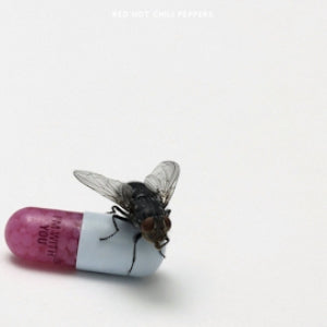 Red Hot Chili Peppers :: I'm With You LP
