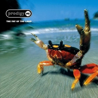 Prodigy :: Fat Of The Land LP