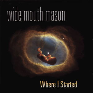 Wide Mouth Mason :: Where I Started LP