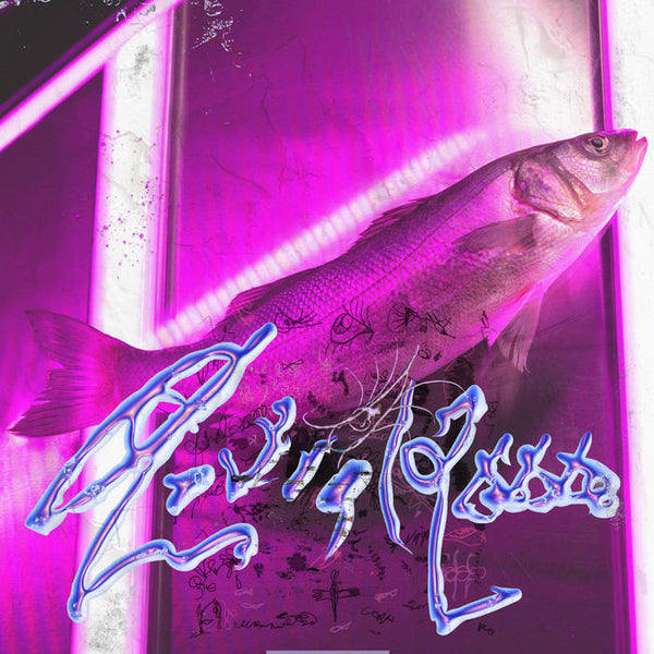 Virginie B :: Astral 2001 LP