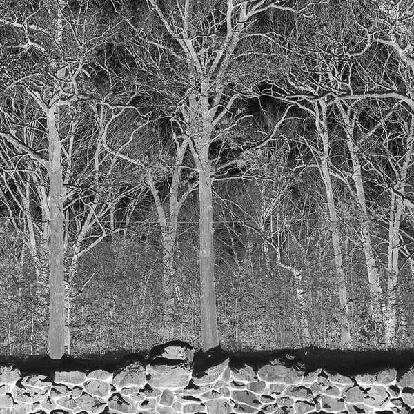 Pile :: Sunshine And Balance Beams LP