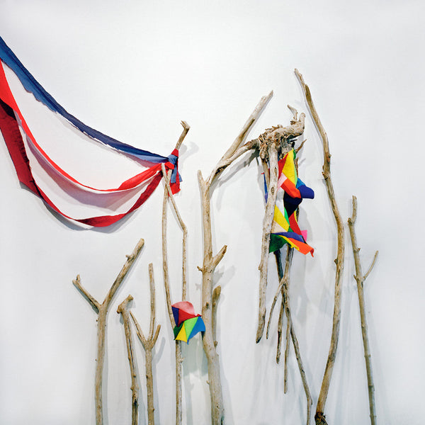 Bruce Peninsula :: A Mountain is a Mouth LP