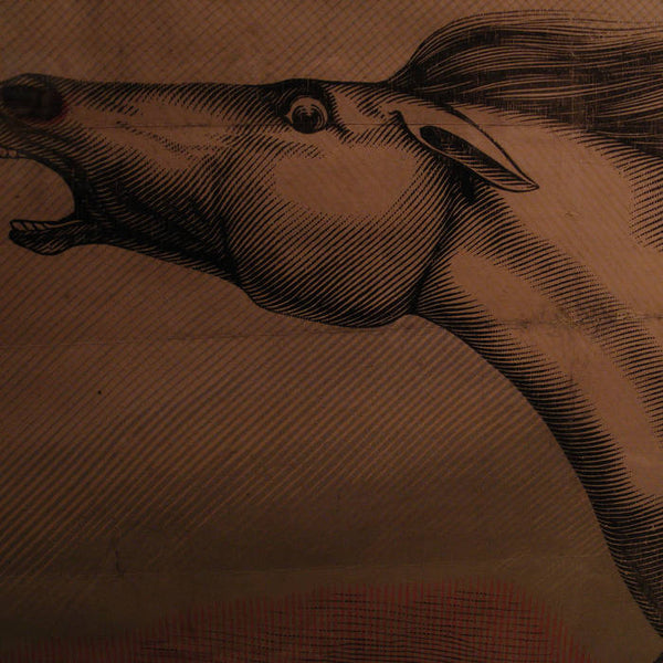 Lynch, Julian :: Mare LP