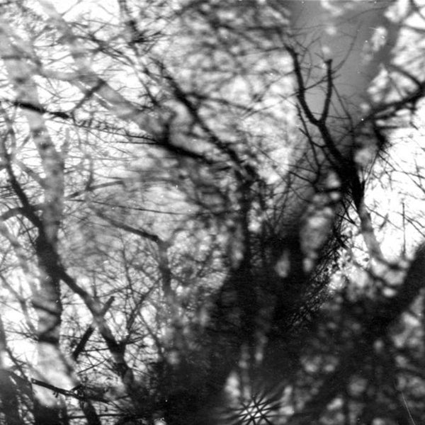 Grouper :: Way Their Crept LP