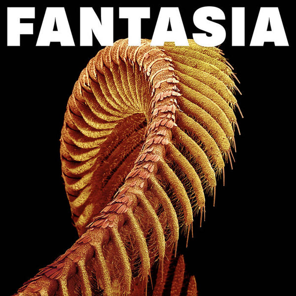 Slift :: Fantasia LP