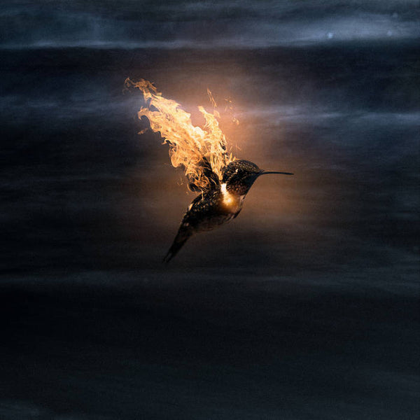 Saton :: A La Espera Del Momento LP