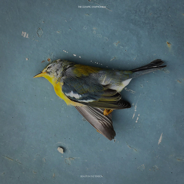 The Olympic Symphonium :: Beauty In The Tension LP