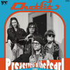 Daniel Romano's Outfit :: Preservers Of The Pearl LP