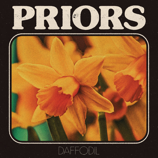 Priors :: Daffodil LP