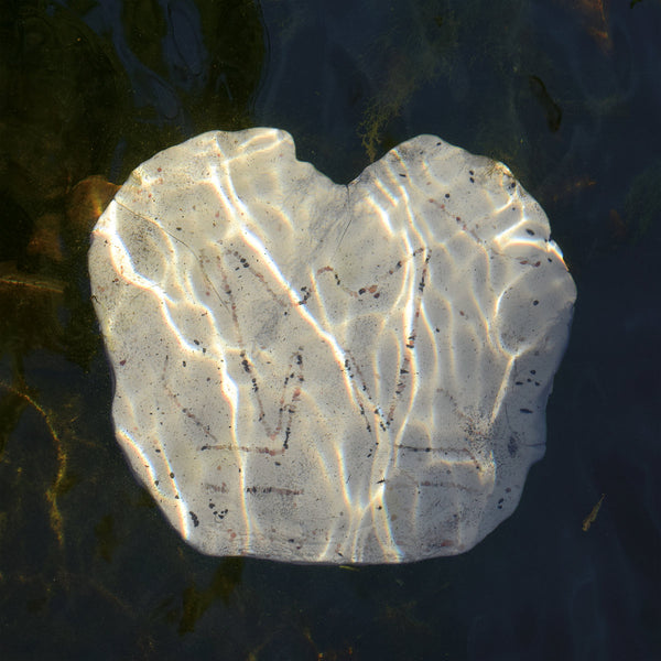 N Nao :: L'eau Les Reves LP