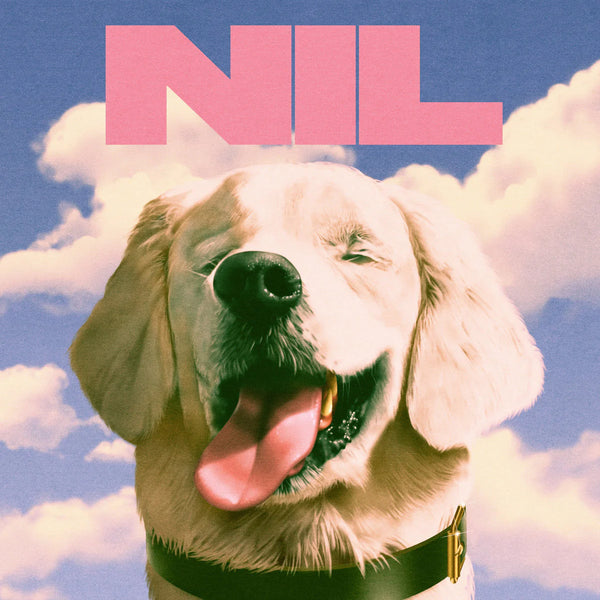 Dirty Nil :: Fuck Art LP