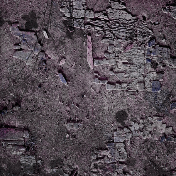 Blame Art :: Aneuma LP