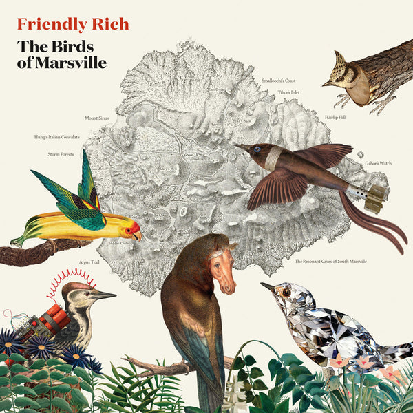 Friendly Rich :: The Birds Of Marsville LP