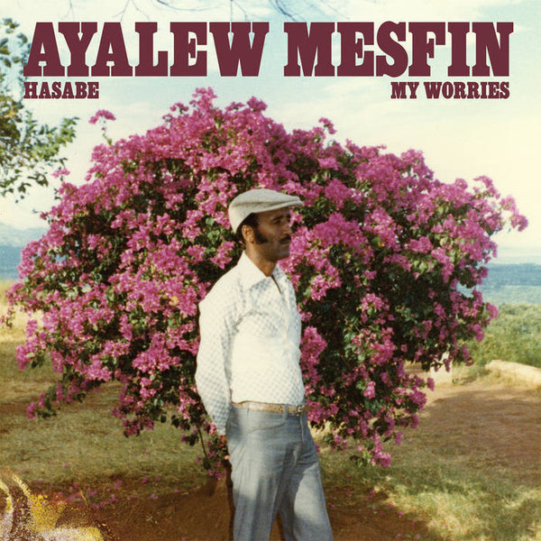 Mesfin, Ayalew :: Hasabe - My Worries LP